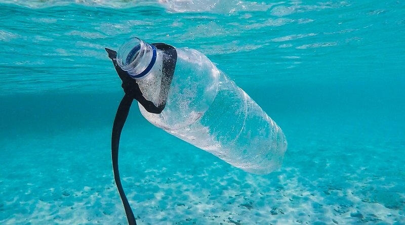 Bottle_new.jpg