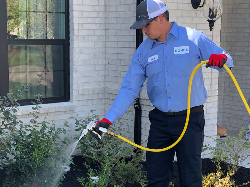 Cricket Control Romex Pest Control Is Your Best Solution!