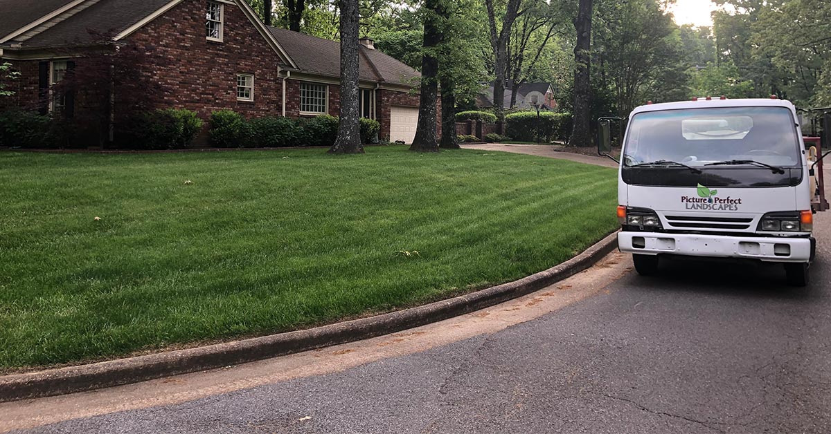 Memphis Lawn Fertilization
