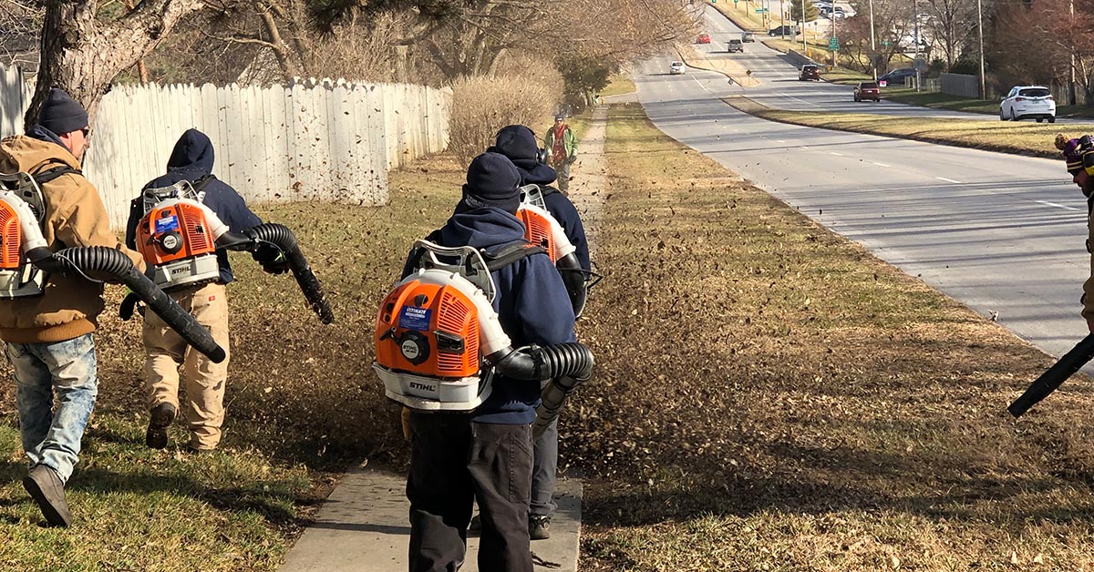 leaf removal company