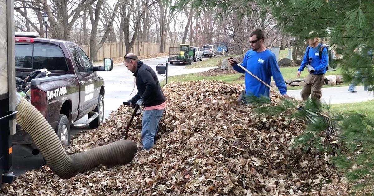 Leaf Clean Up Services