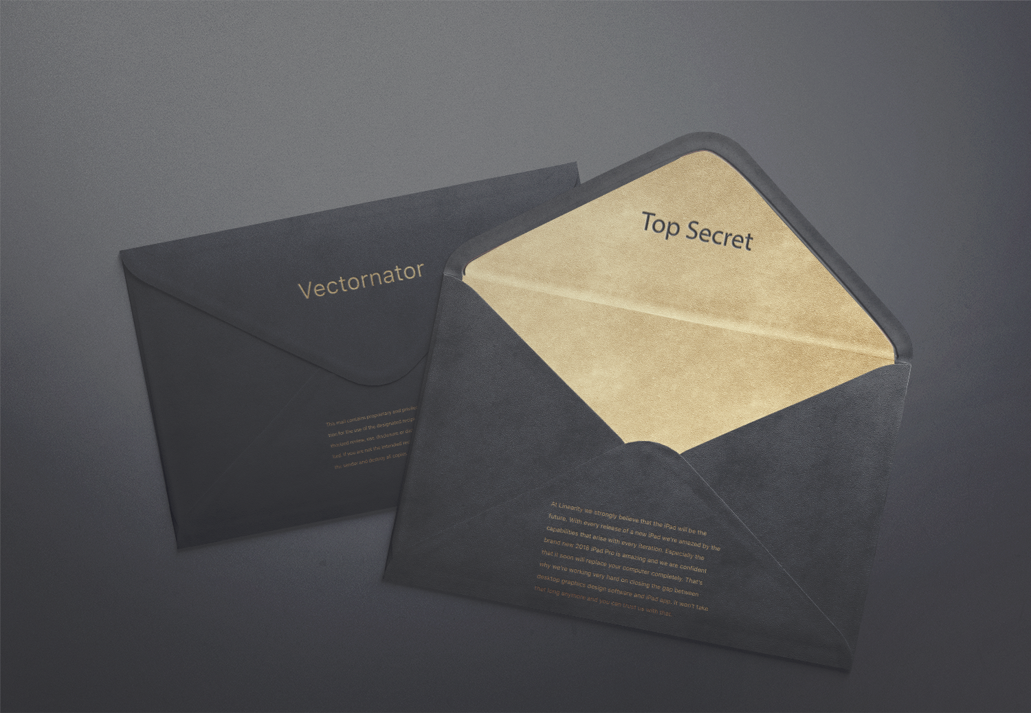 vectornator-yearly-wrap-up