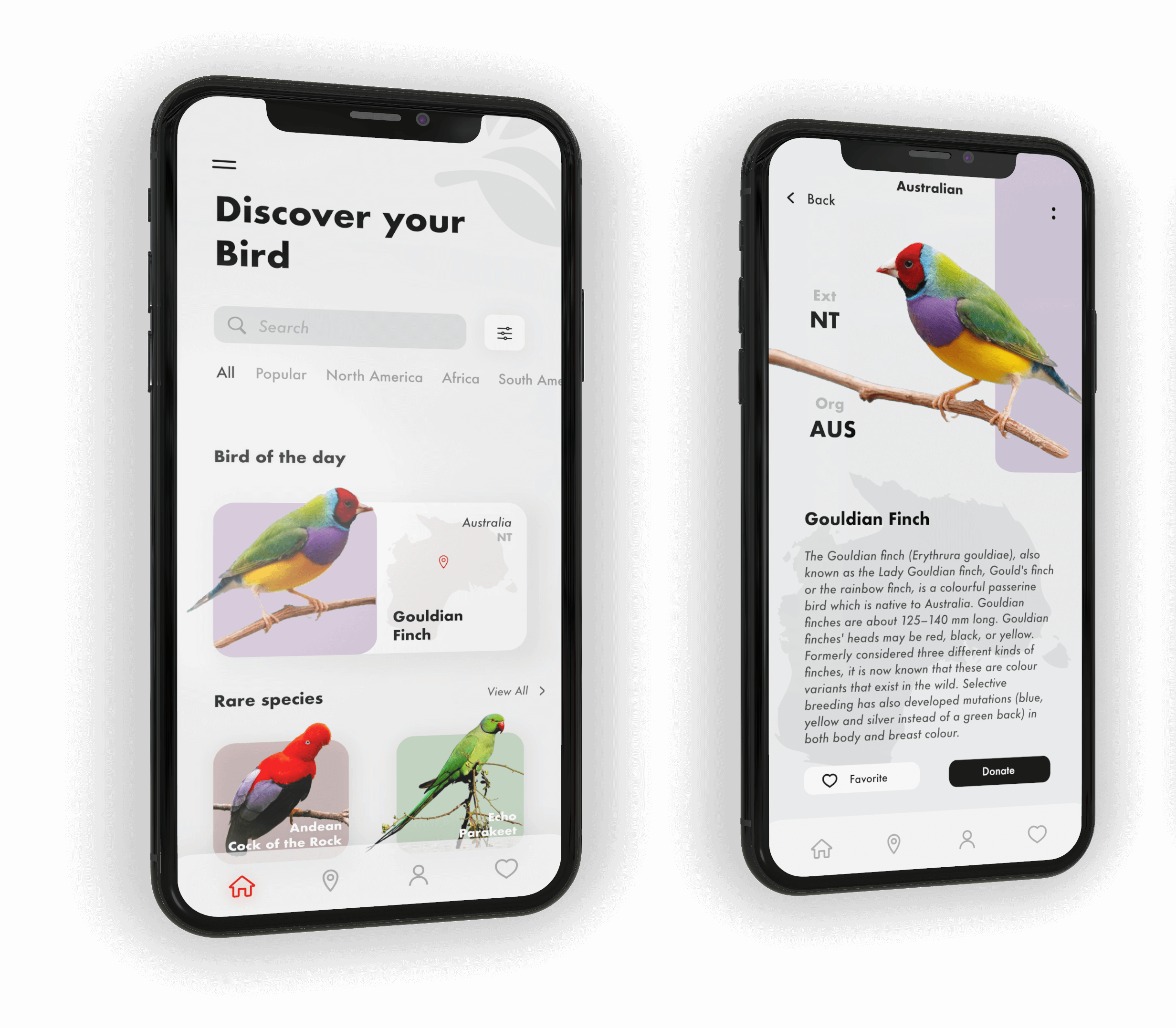 design tips 2019
