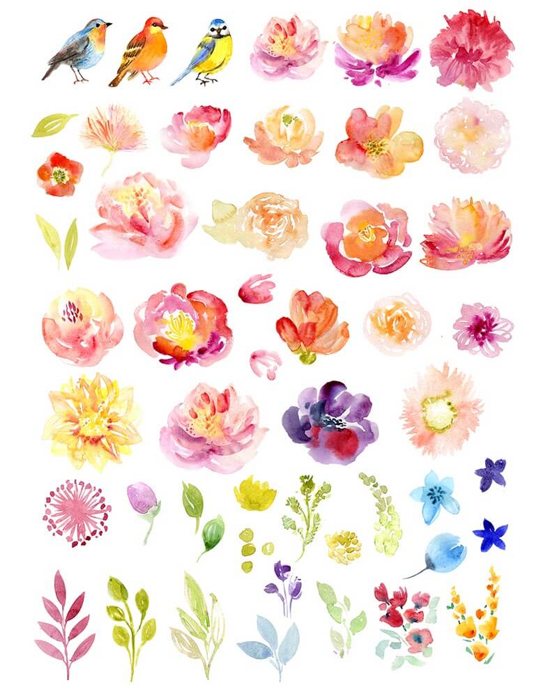 bird watercolor clipart