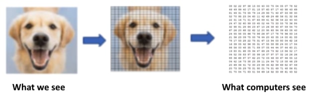 Illustration of how a computer sees an image