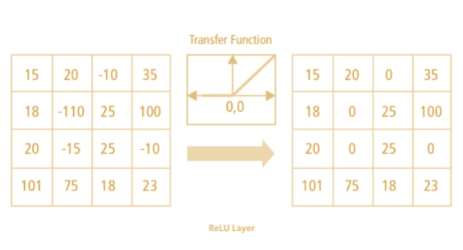 ReLU layer in AI