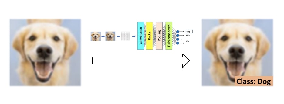 The whole process: An unlabeled image is classified by a CNN and labeled as "Dog"