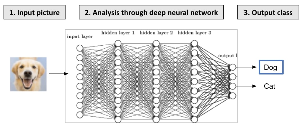 How image classifiers work through neural networks
