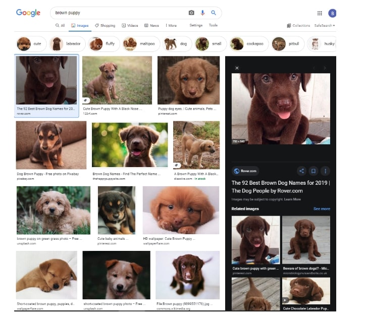 Image search on google