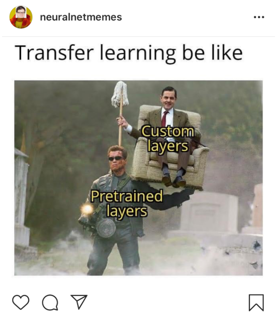 Transfer Learning AI meme