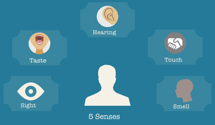 Five Senses