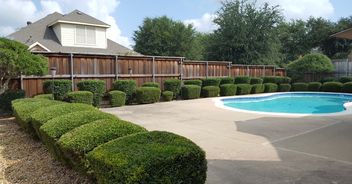 Landscape Maintenance