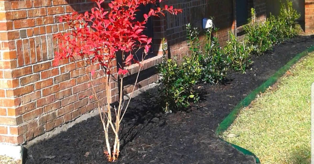 Landscape Design