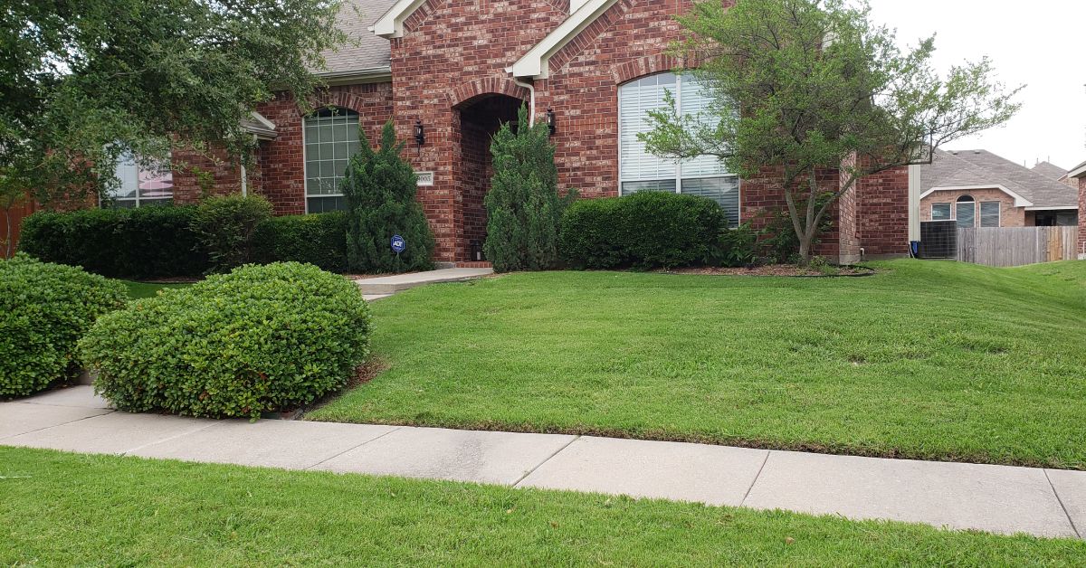 Lawn Aeration Services