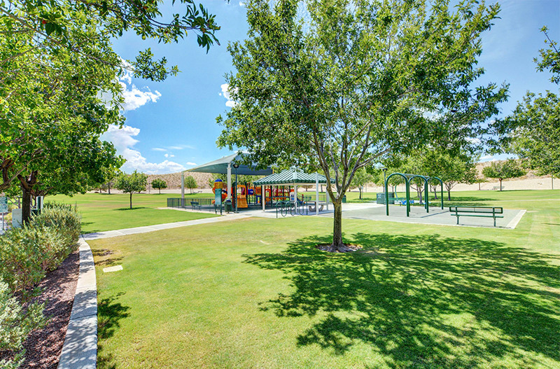 las vegas community outdoor park area