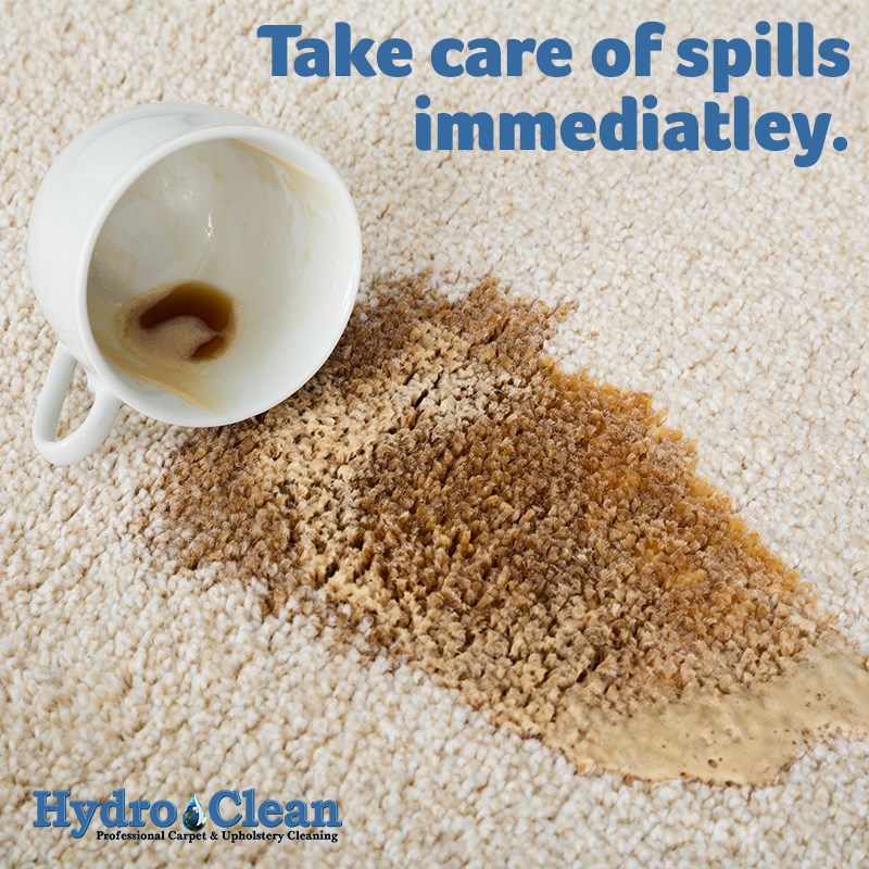 Clean your carpet image