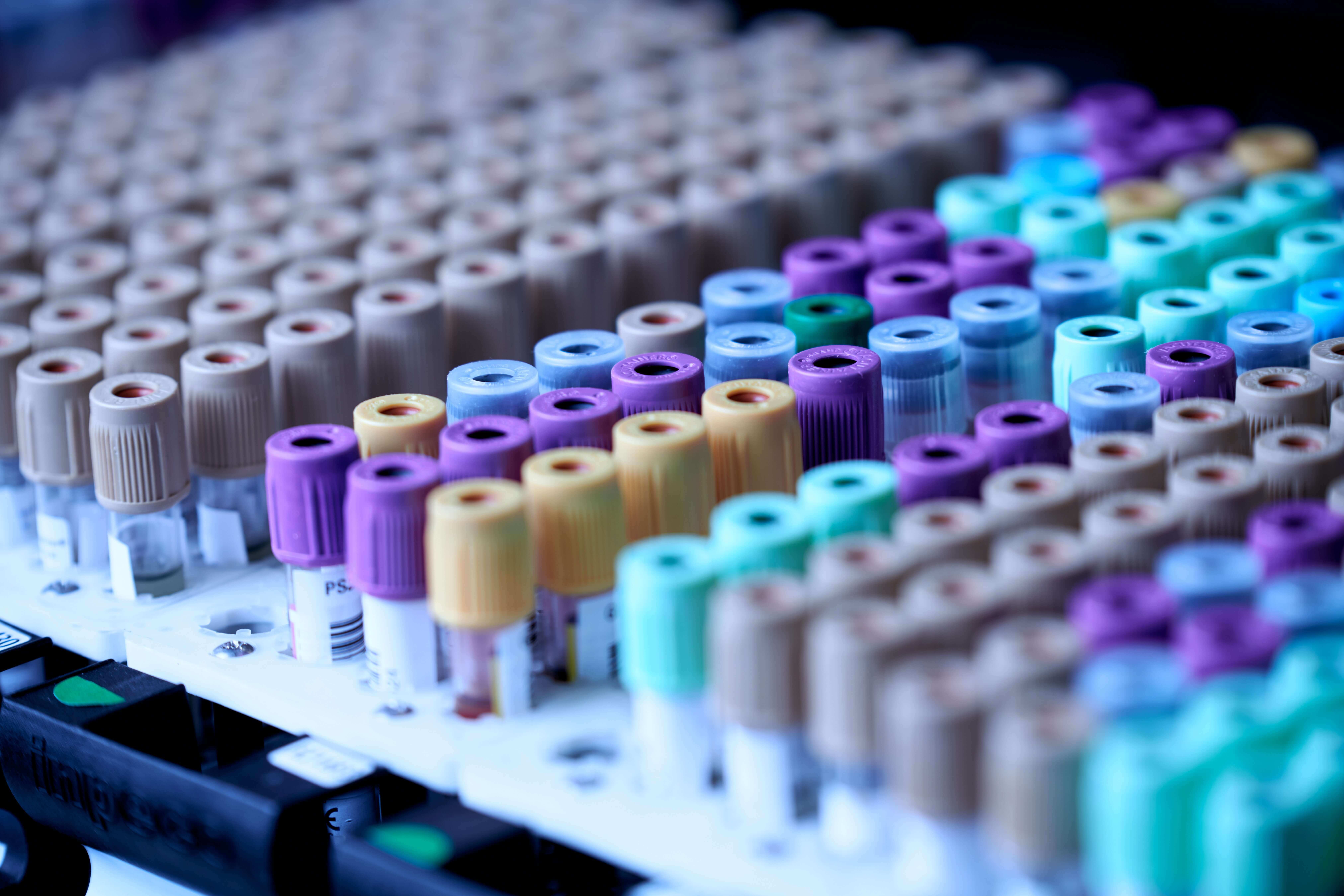 molecular laboratories