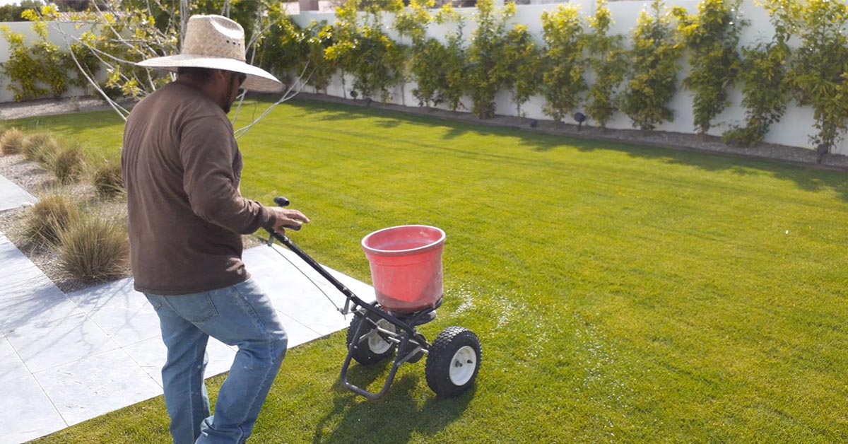 Lawn Fertilization & Weed Control