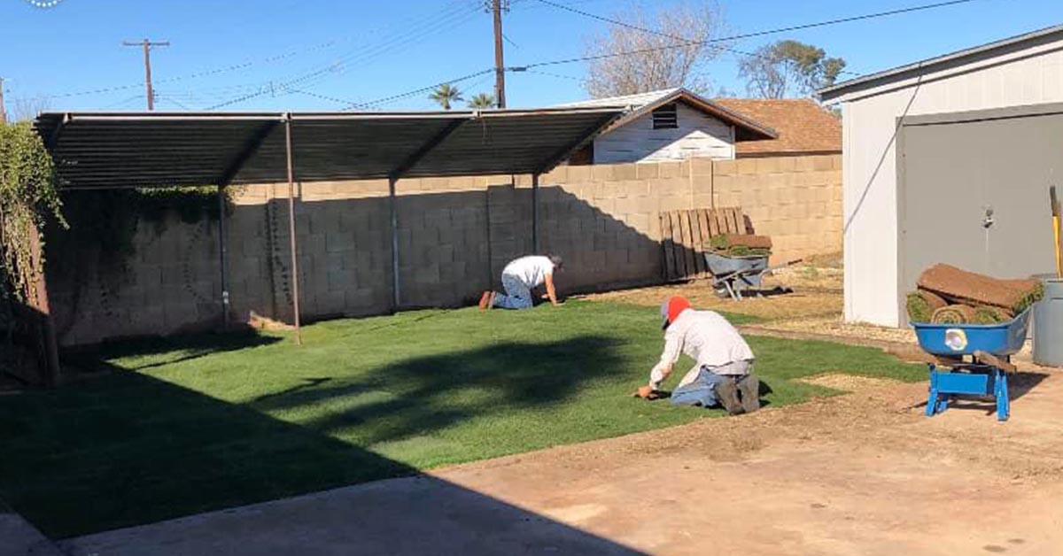 Phoenix Sod Installation Services