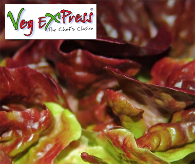 Veg Express