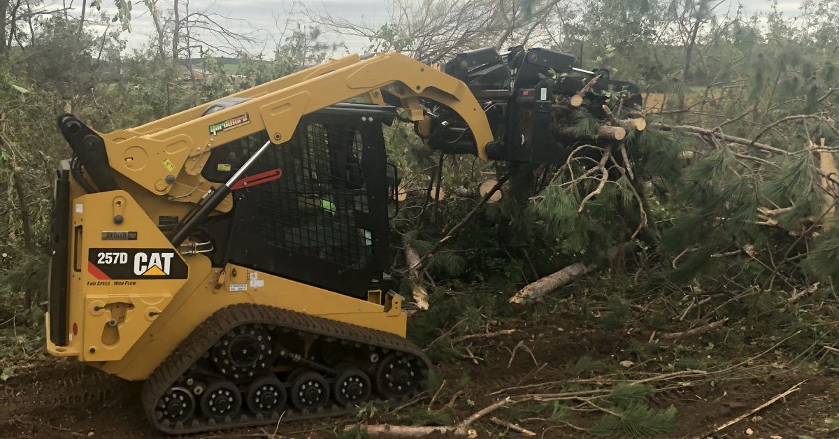 Tree Trimming