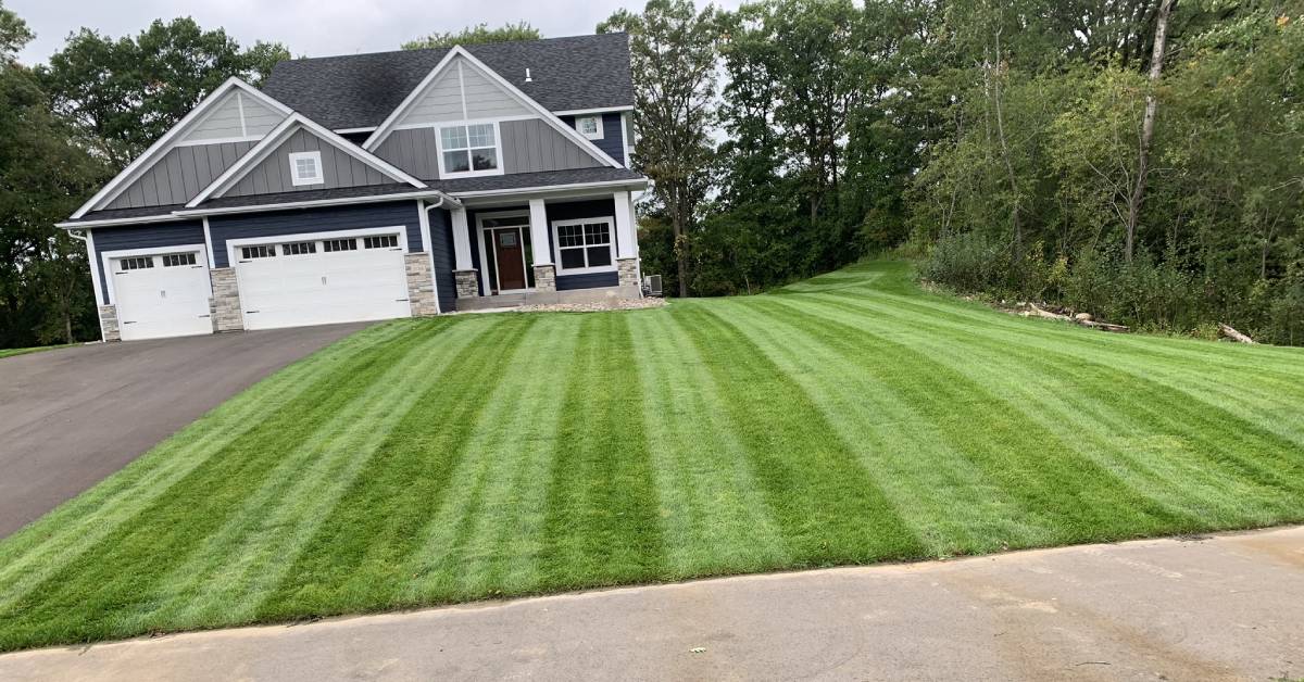 Overseeding