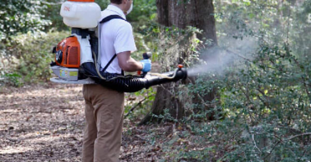 Mosquito Control