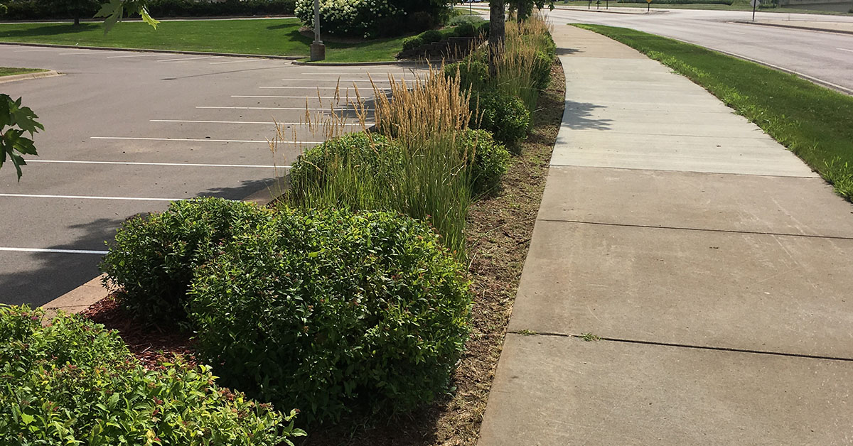 Landscape Maintenance