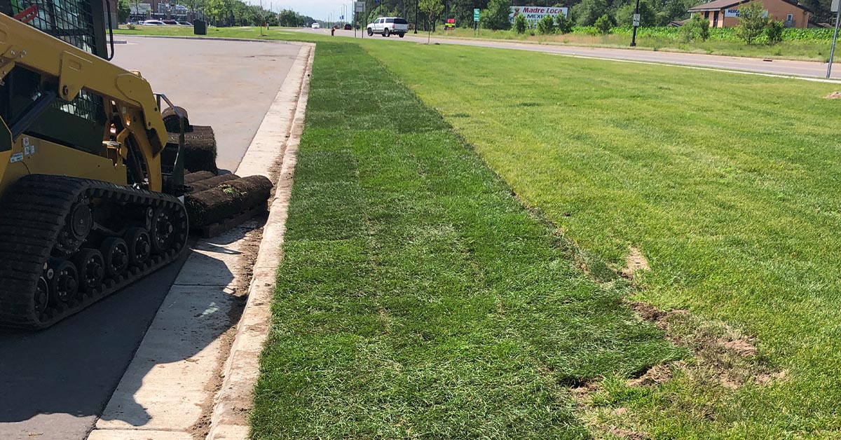 Sod Installation