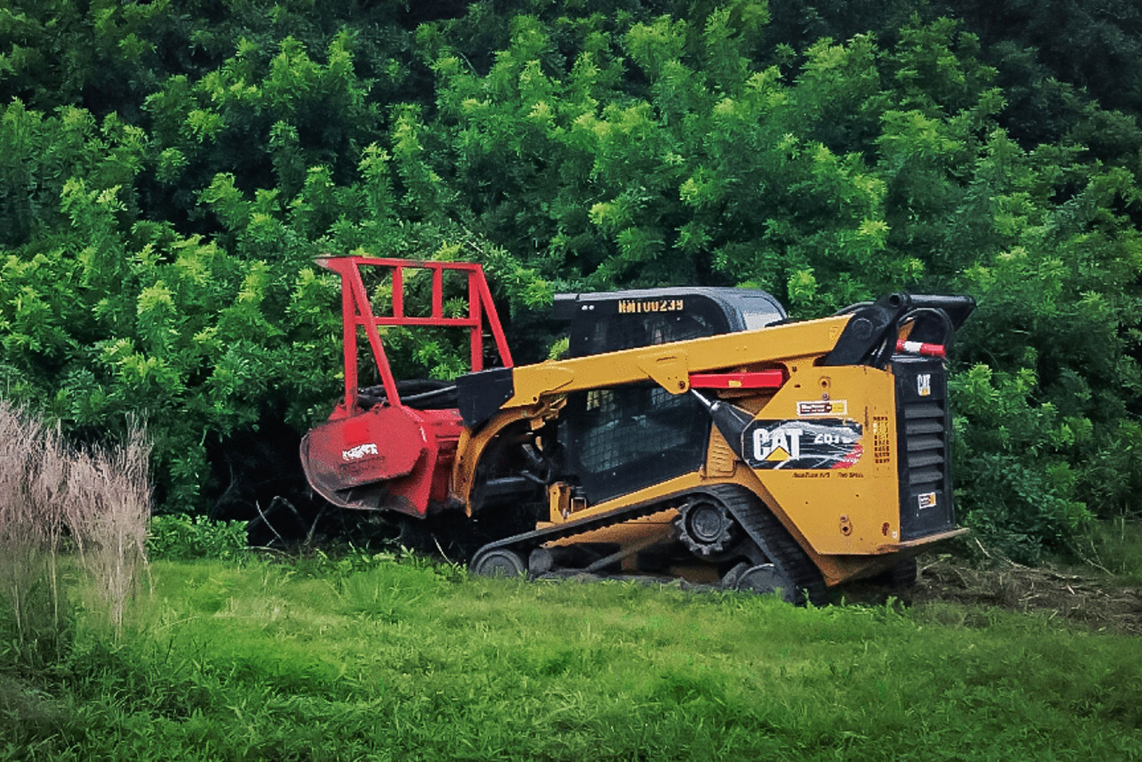 L.E.W. Forestry Grinding, Clearing And Mowing Aquatic Vegetation