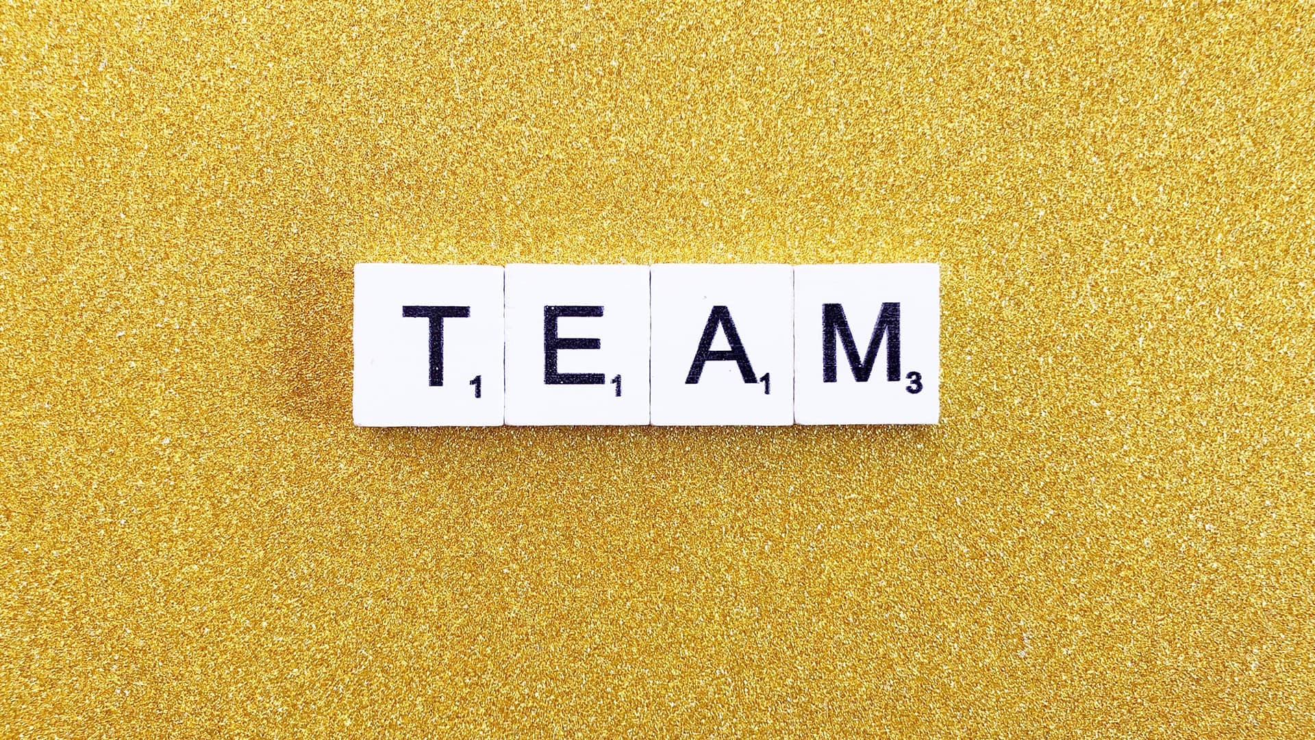 Teamwork ist alles. Für uns ist es wichtig zu erkennen, das jede Stimme wichtig ist. Wir können auch Ihnen helfen!