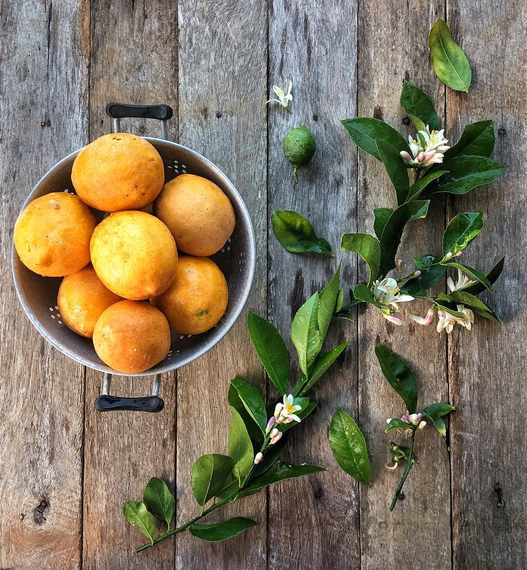 laranjas com folhas e flores em uma peneira em um fundo de prancha rústica
