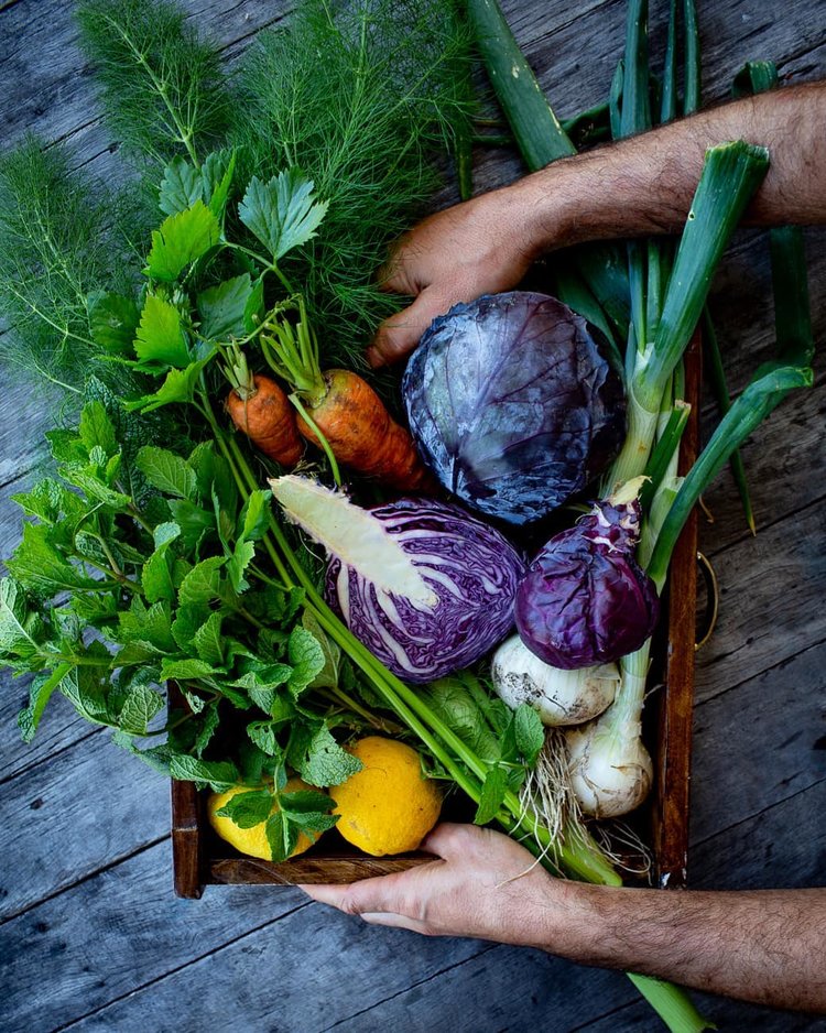 uma caixa colhida de produtos frescos da horta