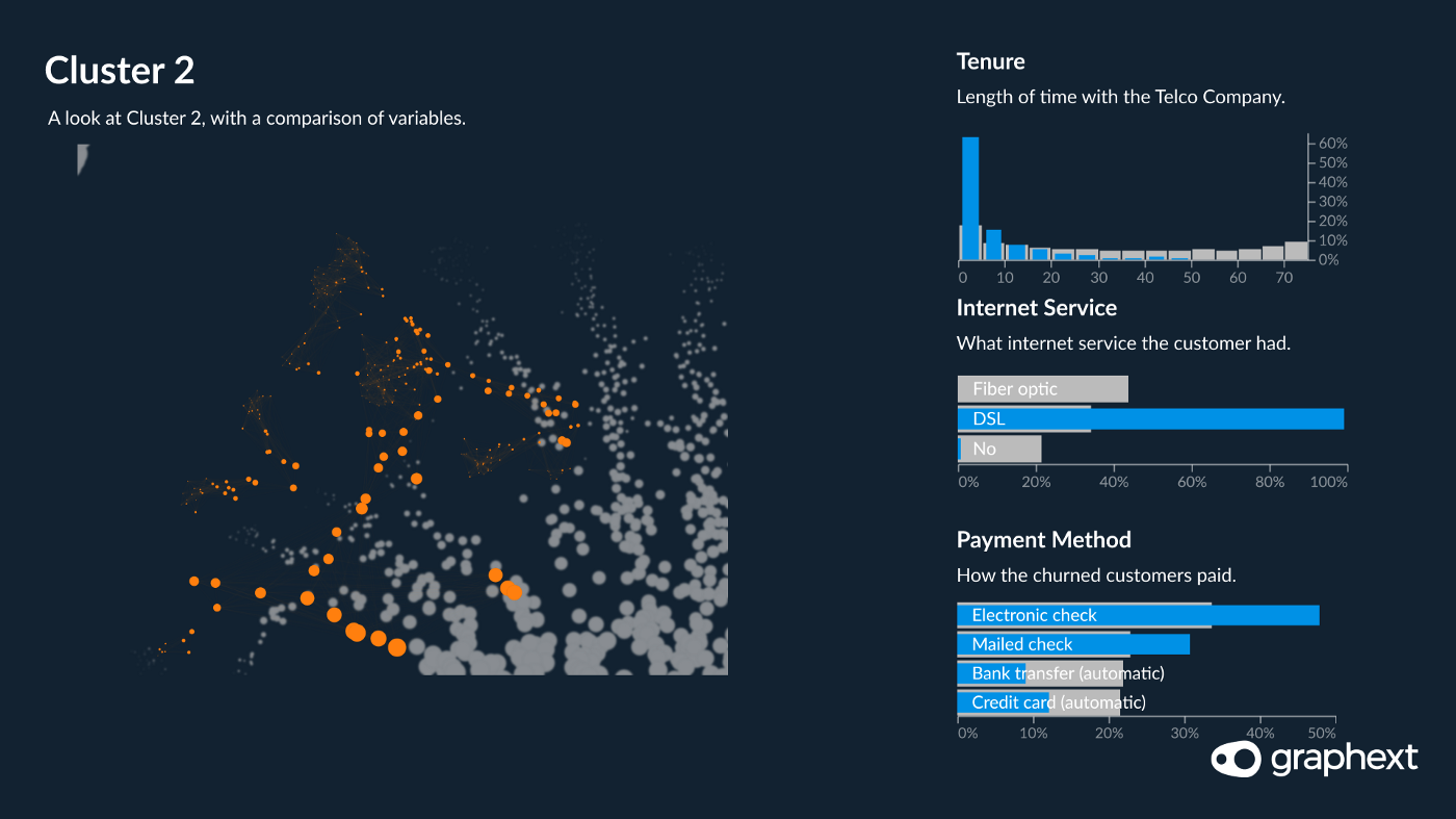 A network visualisation showing that customers in cluster 2 are segmented by tenure and internet service provider.