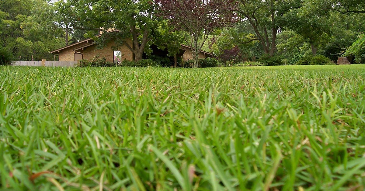 Core Aeration Service In Tyler TX