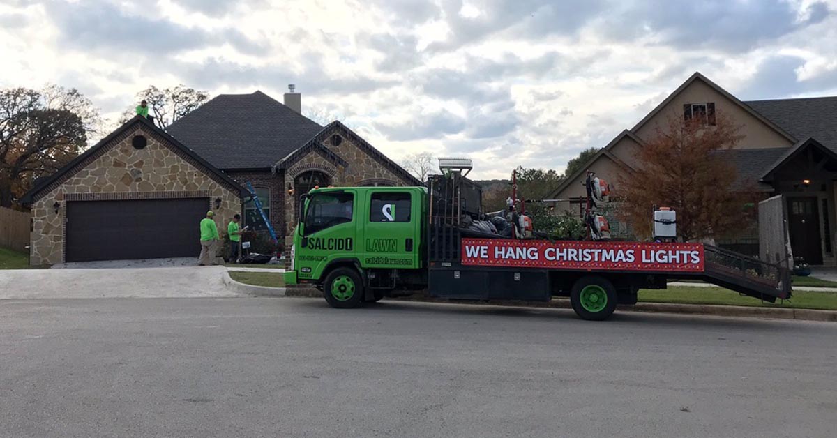 We Hang Christmas Lights
