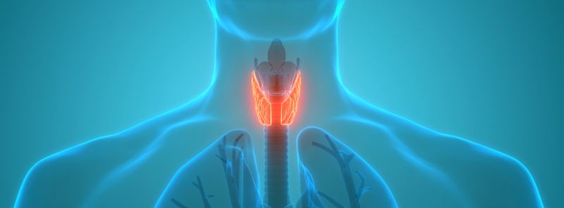 Online Thyroid Care Treatment & Doctors | Circle Medical