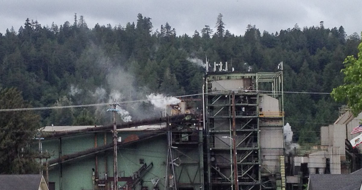 Biomass Energy