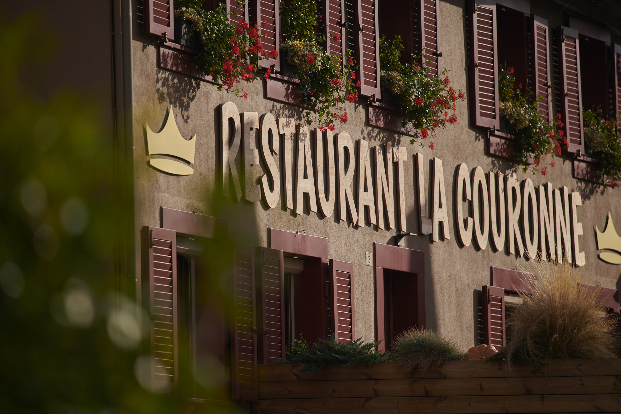 agence de création de site web pour hotels restaurant, spécialisée dans l'hotellerie