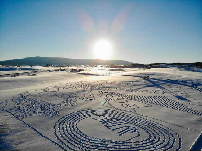 Wellness and the New Year