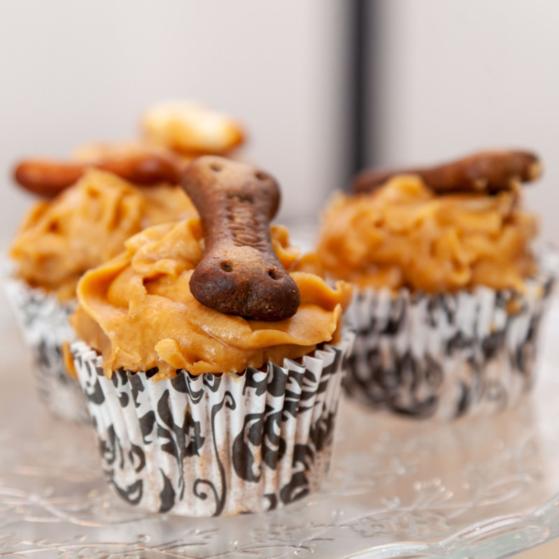 Gourmet, natural dog treats