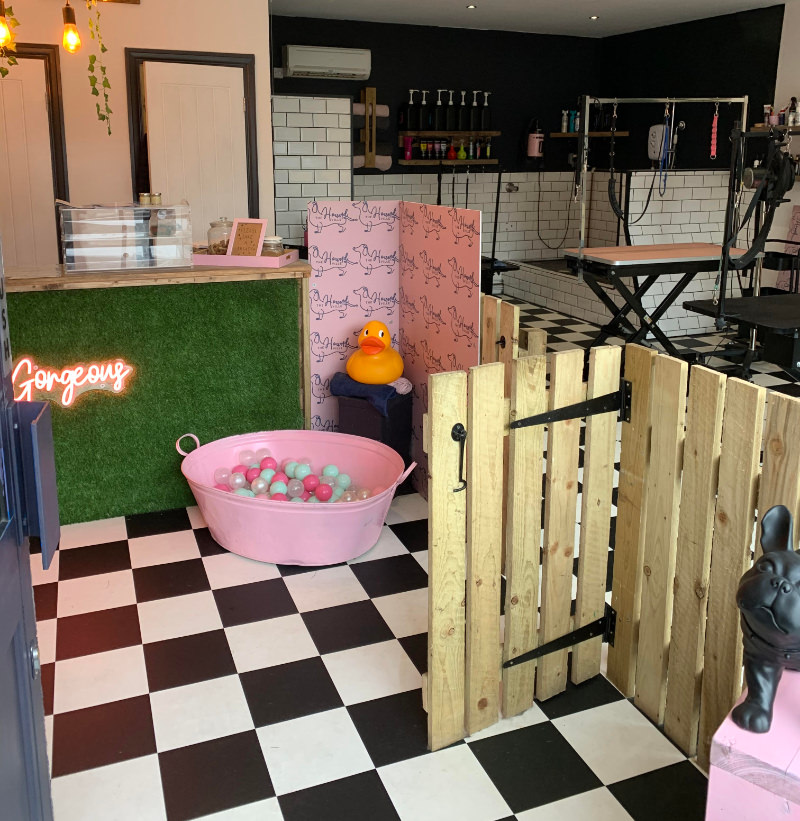 Dog treat boutique in Bradford