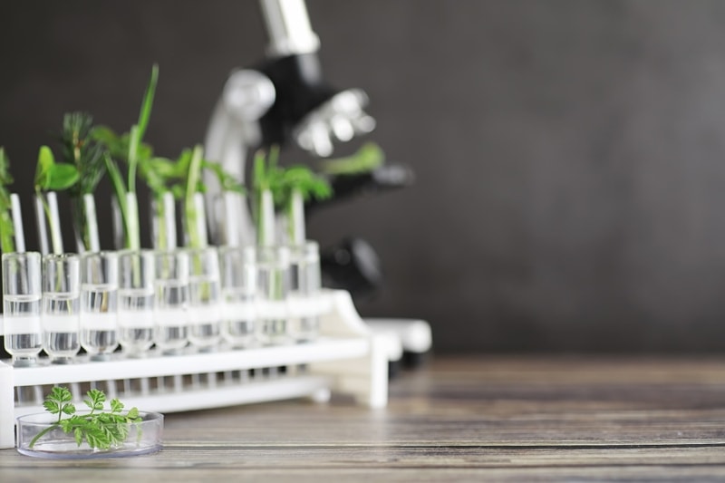 Soil Testing NZ Soil Matters Soil Consultants