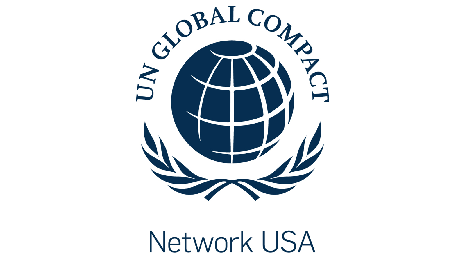 Network USA Governance Webinar