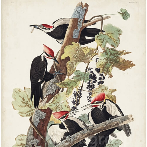 Prints and posters from The World Art Group