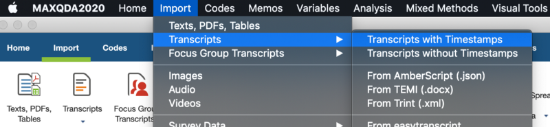 Import Simon Says transcripts to MAXQDA as ‘Transcripts with Timestamps’