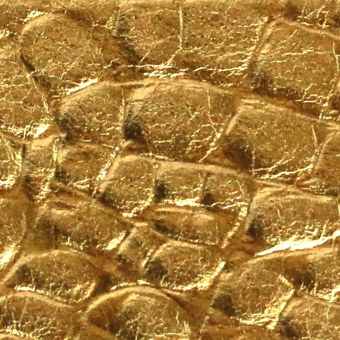 Medallion Gator