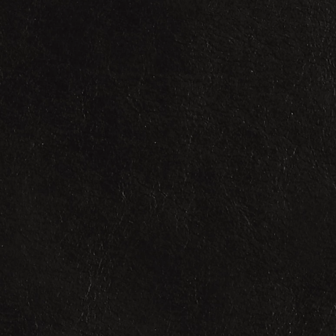 Lucca Black