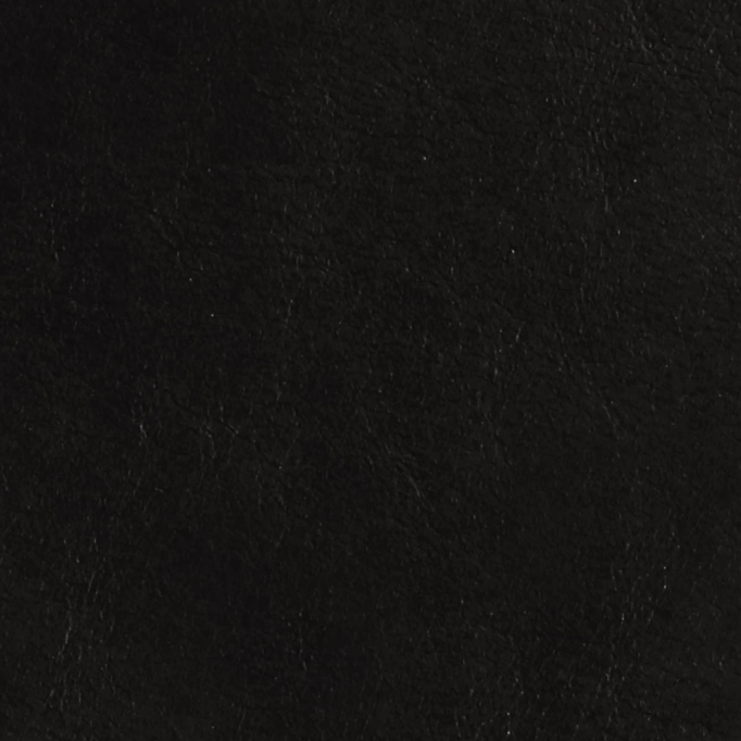 Black Shadow