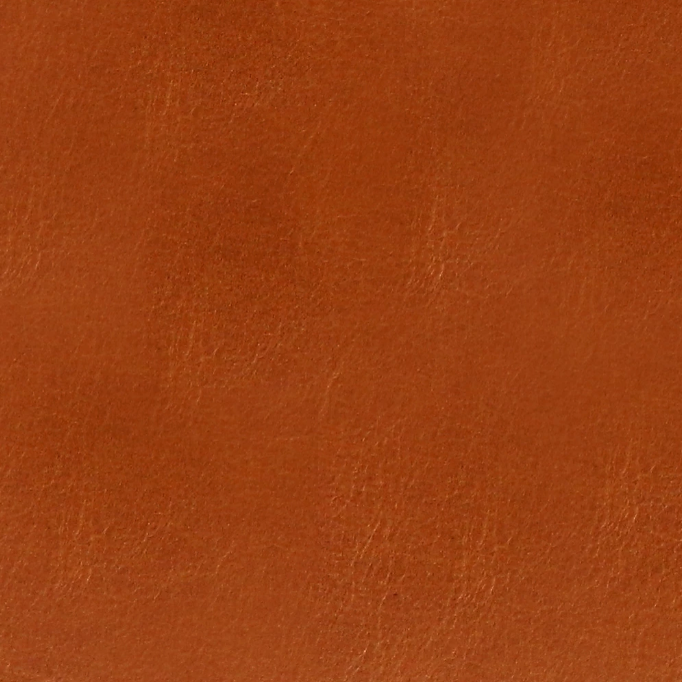 Lucca Cinnamon